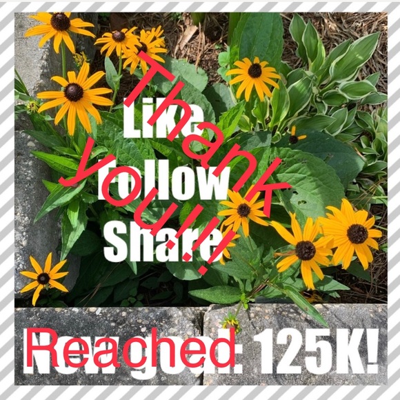 Amazing! Other - 🎉THANK YOU!!🎉 Reached 125K!